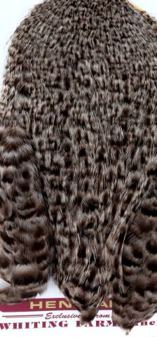 Whiting Coq de Leon Hen Cape